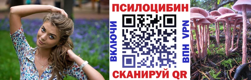 Псилоцибиновые грибы GOLDEN TEACHER  Краснообск 