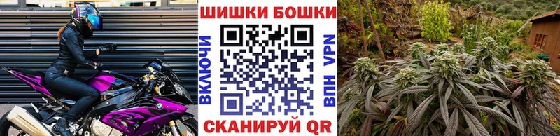 Конопля SATIVA & INDICA  Краснообск 